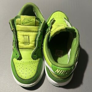 Used Dunk Low PS Chlorophyll (2022) Size 11C